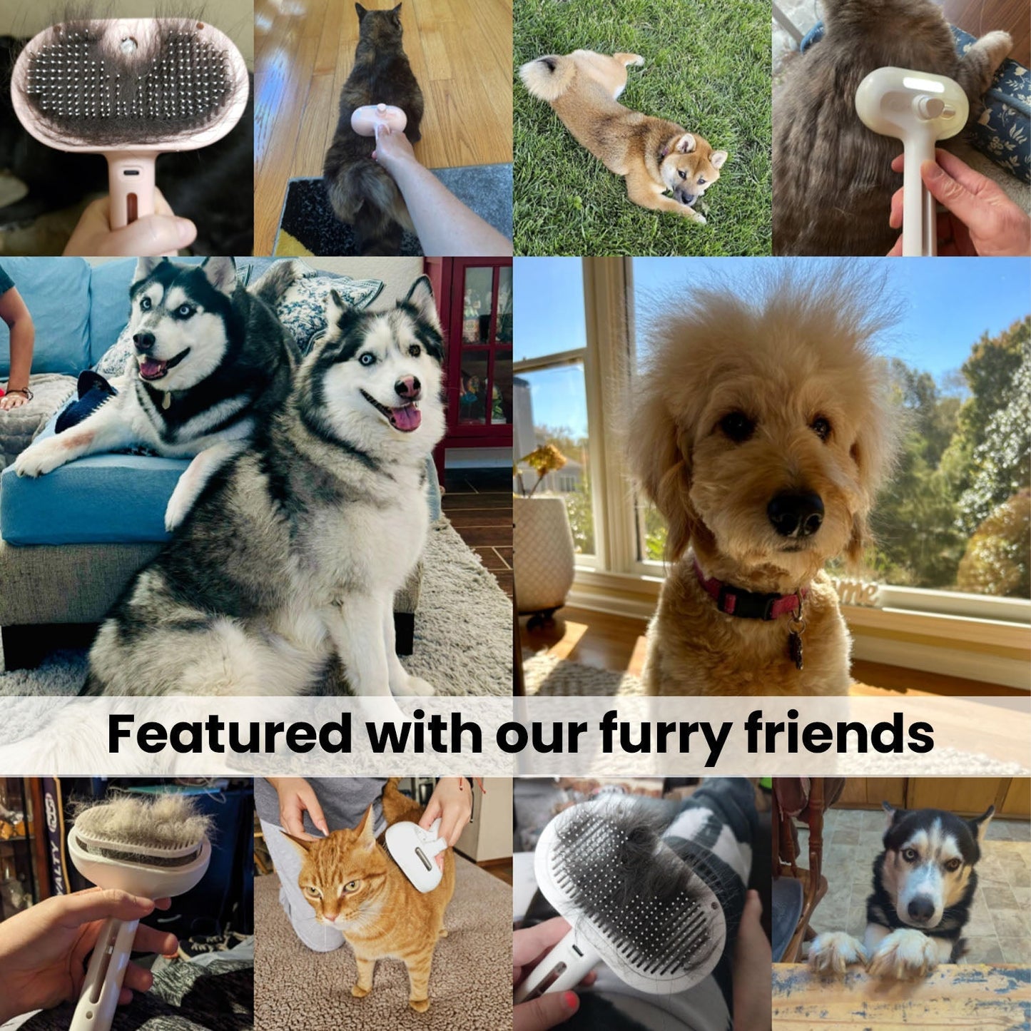 Pawlish™ – Pet Grooming Brush for a Healthy, Happy Coat