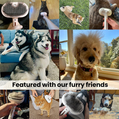 Pawlish™ – Pet Grooming Brush for a Healthy, Happy Coat