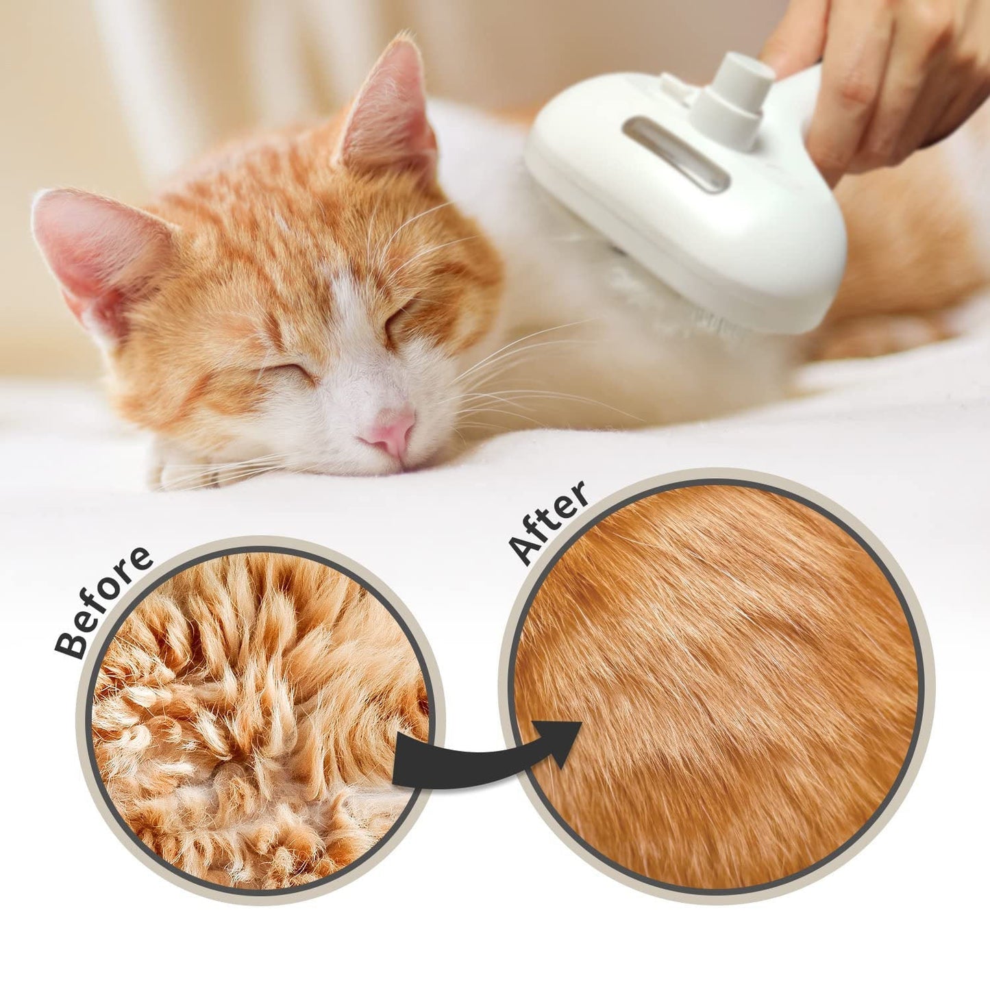 Pawlish™ – Pet Grooming Brush for a Healthy, Happy Coat