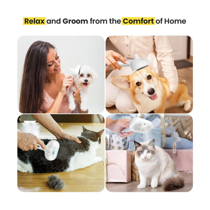 Pawlish™ – Pet Grooming Brush for a Healthy, Happy Coat