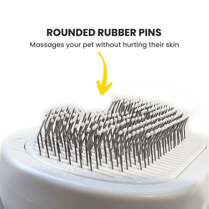 Pawlish™ – Pet Grooming Brush for a Healthy, Happy Coat