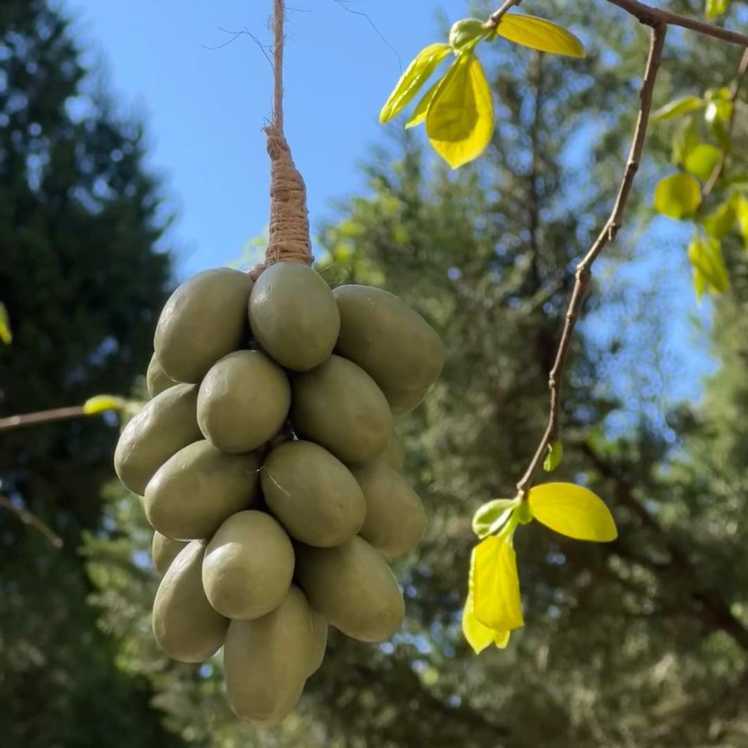 VitaGrape™ – Natürliche traubenförmige Seife